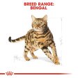 ROYAL CANIN® Bengal Adult Dry Cat Food Sale