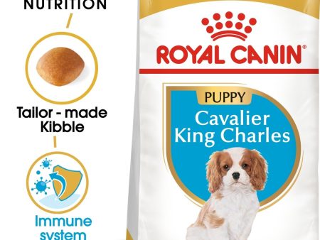 ROYAL CANIN® Cavalier King Charles Puppy Dry Dog Food 1.5Kg Supply