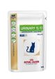 Royal Canin Urinary S O Moderate Calorie Feline Húmedo Discount