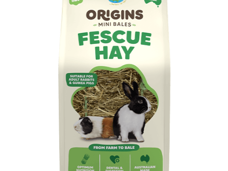 Vetafarm Origins Fescue Hay Mini Bale 1kg For Discount