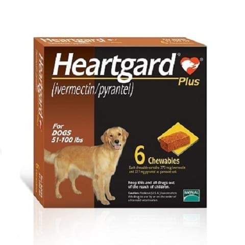 RX Heartgard Plus Chewable Tablets for Dogs, 51-100 lbs Hot on Sale