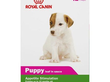 Royal Canin Canine Health Nutrition Puppy in Gel Canned Dog Food for Toy and Small Dogs, 12 pack of 5.8 oz Online Hot Sale