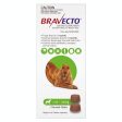 Bravecto Medium Dog Chews 10-20Kg Online now