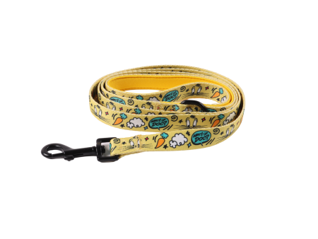 Petverse Looney Tunes Dog Lead Online