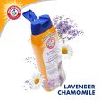 Arm and Hammer Deodorizing and Dander Reducing Cat Shampoo on Sale