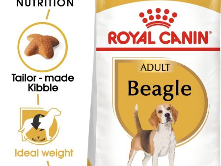 ROYAL CANIN® Breed Nutrition Beagle Adult Dry Dog Food Online now