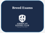 Harrier Breed Exam Discount