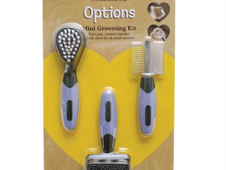 Rosewood Mini Grooming Set Sale