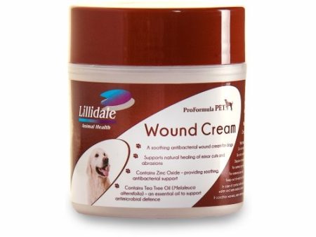 Lillidale: Wound Cream 100g For Discount