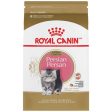 Royal Canin Feline Breed Nutrition Persian Kitten Dry Cat Food, 3 lb Online Sale