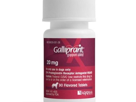 RX Galliprant (grapiprant tablets) Flavored Tablets for Dogs, 90 Count For Cheap