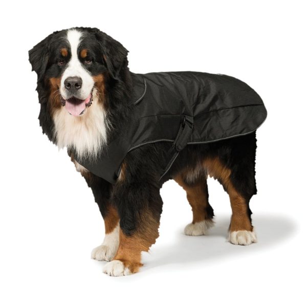 Black Harness  2 in 1 Ultimate Dog Coat For All Climates Sale