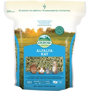 Oxbow Alfalfa Hay 425g Online now