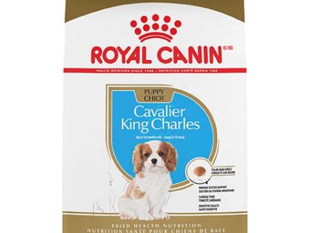 Royal Canin Breed Health Nutrition Cavalier King Charles Puppy Dry Dog Food, 3 lb Bag Online Sale