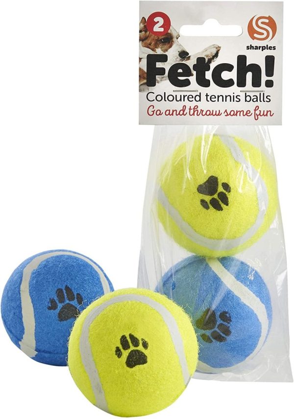 Fetch 2 Coloured Tennis Balls For Discount