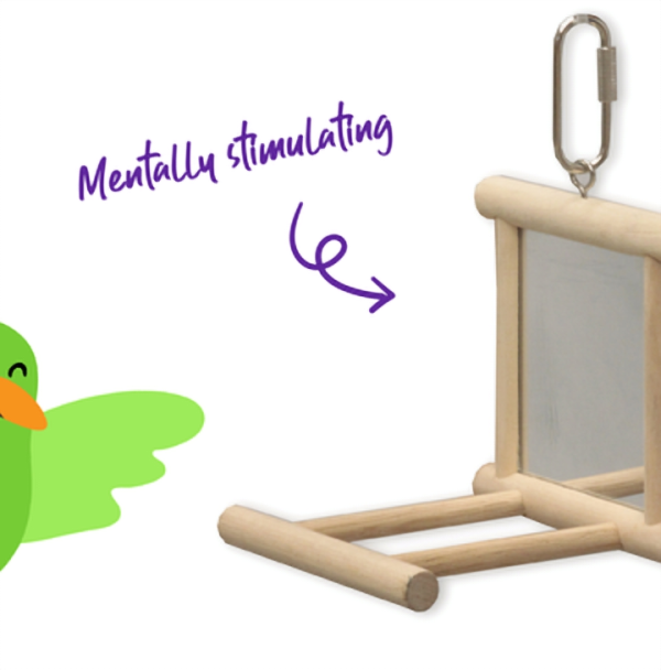 Kazoo Mirror with Wooden Perch Bird Toy Medium For Discount