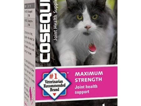 Nutramax Cosequin Capsules Joint Health Cat Supplement, 55 count Online Hot Sale