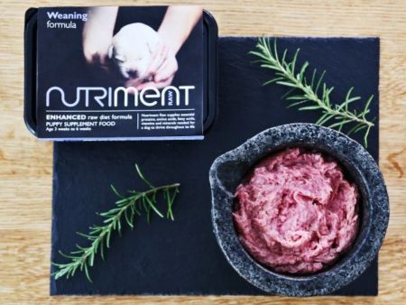 Nutriment RAW Weaning Puppy Paste - 3 Weeks To 6 Weeks 500g Tray Hot on Sale