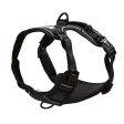 Bunty Adventure Dog Harness on Sale