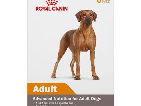 Royal Canin Canine Health Nutrition Adult in Gel Canned Dog Food for All Size Dogs Online now