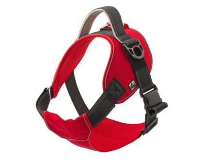 ANCOL EXTREME HARNESS LARGE For Discount