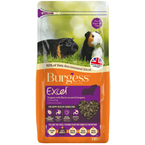 Burgess Excel Adult Guinea Pig Nuggets with Blackcurrant & Oregano 2kg Hot on Sale