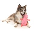 Fuzzyard Plush Dog Toy Flutter the Bed Bug Hot on Sale