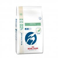 Royal Canin Dental DSO Feline on Sale