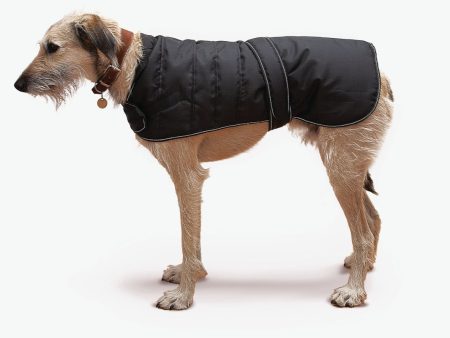 Black Harness Dog Coat with 3 Harness Access Points Hot on Sale