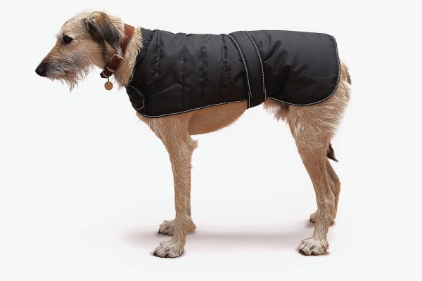 Black Harness Dog Coat with 3 Harness Access Points Hot on Sale