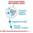 ROYAL CANIN® Mini Puppy Dry Dog Food Online Hot Sale