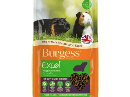 Excel Guinea Pig Nuggets with Mint Supply