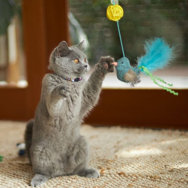 Kazoo Bluebird Wand Cat Toy Hot on Sale