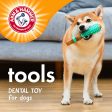 Arm and Hammer Wood Mix Paintbrush Dog Toy on Sale