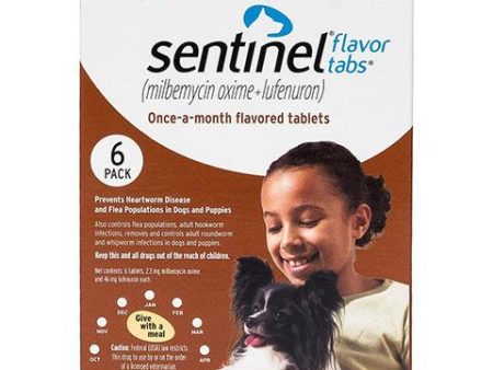 Rx Sentinel Flavor Tablets for Dogs, 6 treatments on Sale