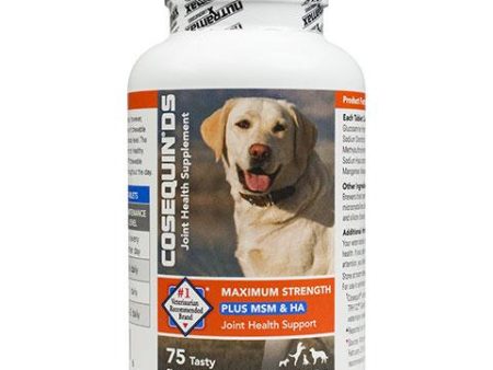 Nutramax Cosequin DS Plus MSM & Hyaluronic Acid (HA) Joint Health Dog Supplement, 75 count Sale