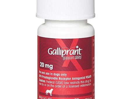 Rx Galliprant Flavored Tablets for Dogs, 1 Count Online