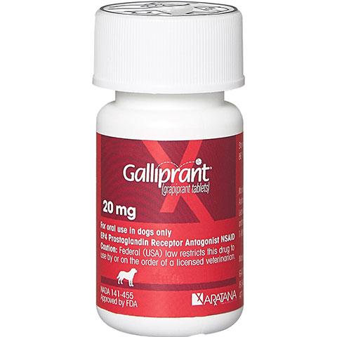 Rx Galliprant Flavored Tablets for Dogs, 1 Count Online