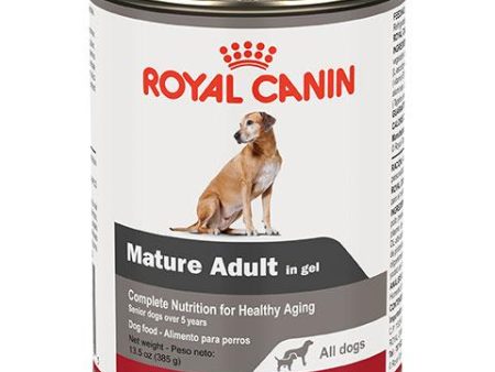 Royal Canin Canine Health Nutrition Mature Adult In Gel Wet Dog Food, 13.5 oz For Cheap