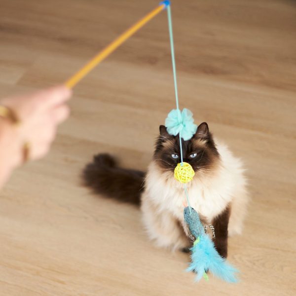 Kazoo Bluebird Wand Cat Toy Hot on Sale