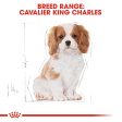 ROYAL CANIN® Cavalier King Charles Puppy Dry Dog Food 1.5Kg Supply