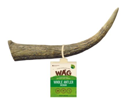 WAG Dog Treat Antler Whole Supply