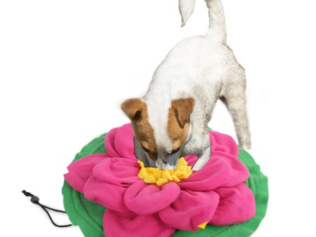 Furkidz Discovery Giant Lotus Dog Mat For Cheap