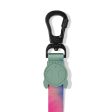 Zee Dog Bliss Dog Lead Hot on Sale