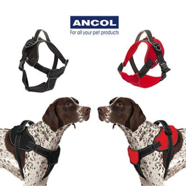 ANCOL EXTREME HARNESS LARGE For Discount