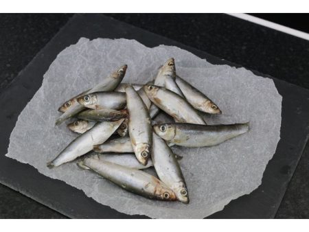 FRESH RAW WHOLE SPRATS 1KG Hot on Sale