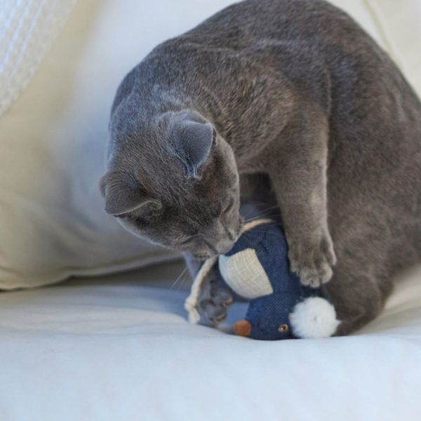 Kazoo Big Ears Mouse Cat Toy Online Sale