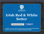 Irish Red and White Setter Breed Course on Sale