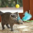 Kazoo Bluebird Wand Cat Toy Hot on Sale