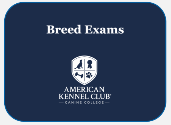 Old English Sheepdog Breed Exam Online now